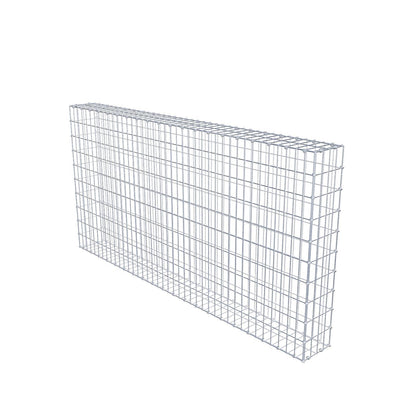 Gabbione 200 cm x 100 cm x 20 cm (L x H x P), maglia 5 x 10 cm, anello a spirale