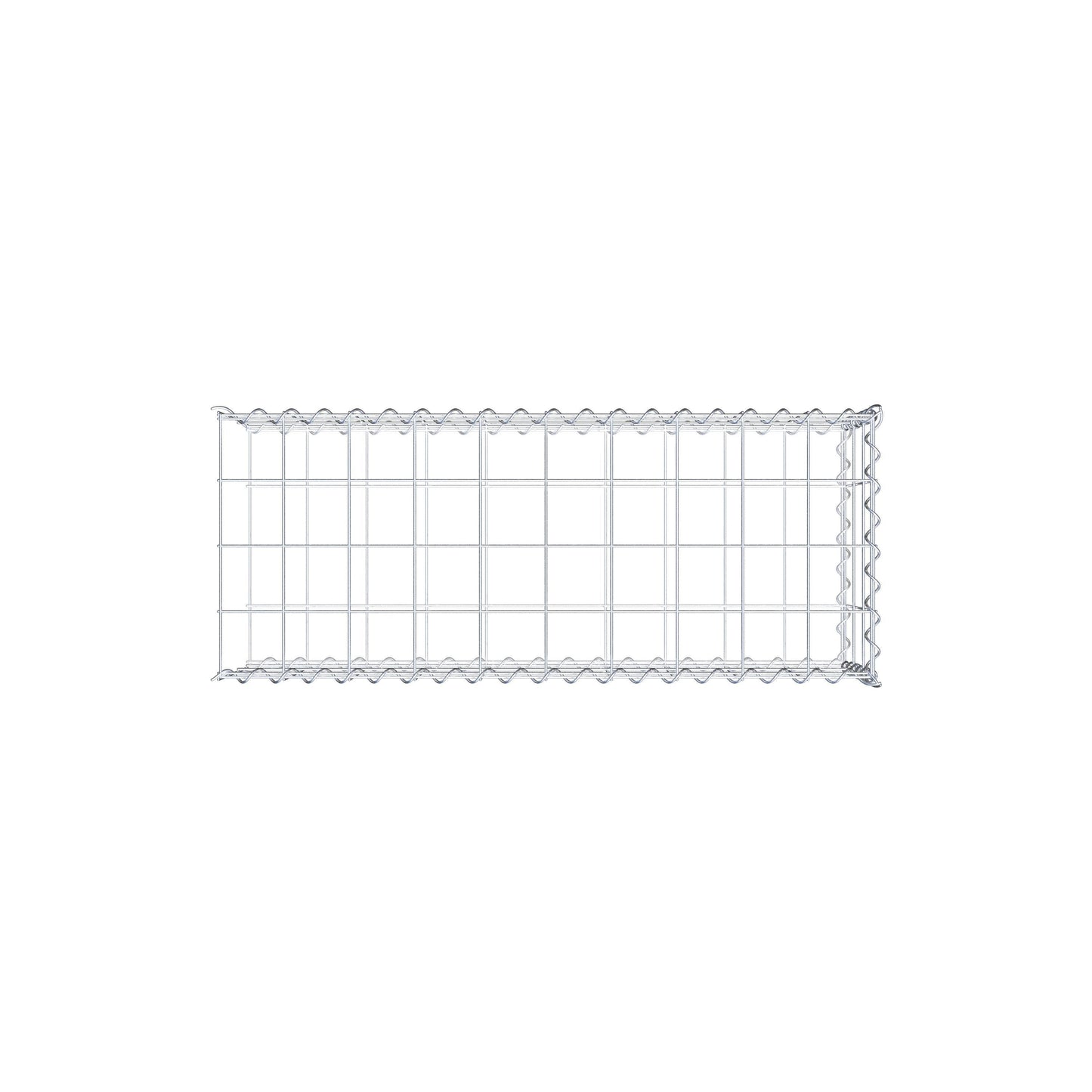 Grown-on gabion type 2 100 cm x 30 cm x 40 cm (L x H x D), mesh size 10 cm x 10 cm, spiral