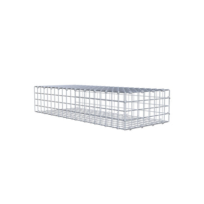 Type 2 oplegkorf 100 cm x 20 cm x 40 cm (L x H x D), maaswijdte 5 cm x 5 cm, C-ring