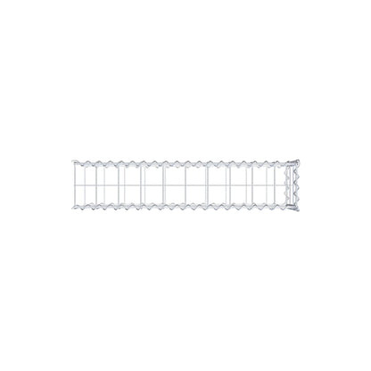 Grown-on gabion type 2 100 cm x 30 cm x 20 cm (L x H x D), mesh size 10 cm x 10 cm, spiral