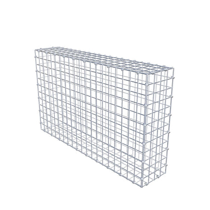 Gabbione 100 cm x 60 cm x 20 cm (L x H x P), maglia 5 x 5 cm, anello a spirale