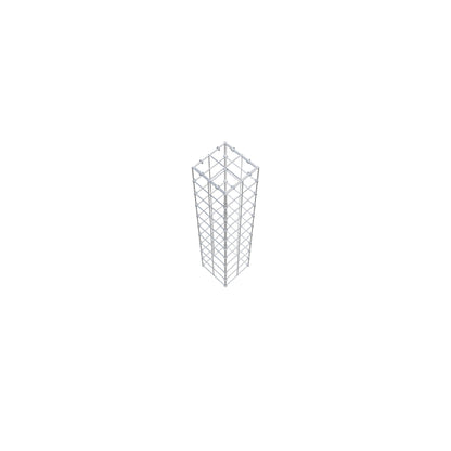 Monteret gabion type 3 100 cm x 20 cm x 20 cm (L x H x D), maskestørrelse 10 cm x 10 cm, C-ring