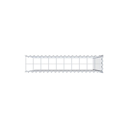 Opvokset gabion type 4 100 cm x 100 cm x 20 cm (L x H x D), maskestørrelse 10 cm x 10 cm, spiral