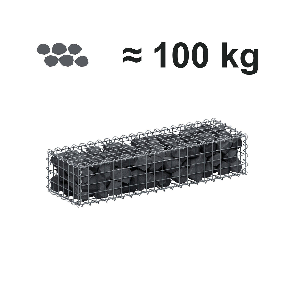 Gabion 100 cm x 20 cm x 30 cm (L x H x P), mailles 5 cm x 5 cm, spirale