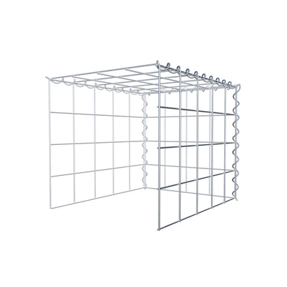 Grown-on gabion type 4 50 cm x 40 cm x 40 cm (L x H x D), mesh size 10 cm x 10 cm, spiral