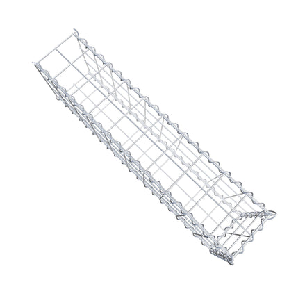 Grown-on gabion type 2 100 cm x 30 cm x 20 cm (L x H x D), mesh size 10 cm x 10 cm, spiral