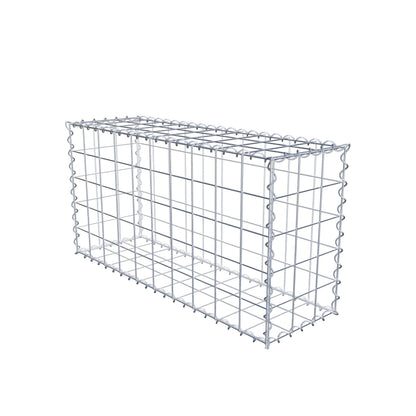 Lot de 2 gabions 100 cm x 50 cm x 30 cm (L x H x P), mailles 10 x 10 cm, spirale