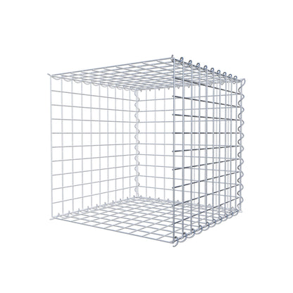 Grown-on gabion type 2 50 cm x 50 cm x 50 cm (L x H x D), mesh size 5 cm x 5 cm, spiral