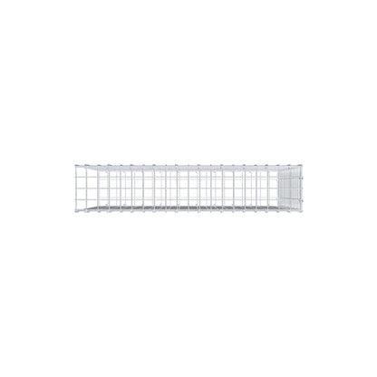 Type 2 oplegkorf 100 cm x 80 cm x 20 cm (L x H x D), maaswijdte 5 cm x 5 cm, C-ring