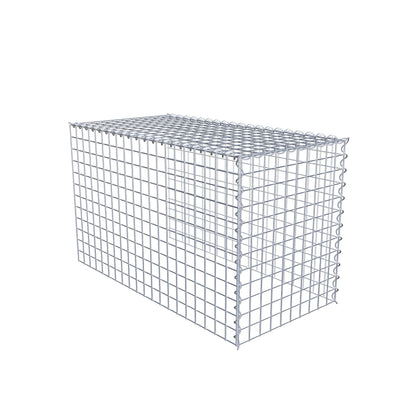 Grown-on gabion type 4 100 cm x 60 cm x 50 cm (L x H x D), mesh size 5 cm x 5 cm, spiral