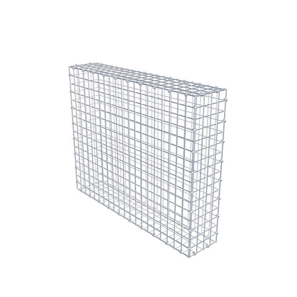 Gabbione 100 cm x 80 cm x 20 cm (L x H x P), maglia 5 x 5 cm, anello a spirale