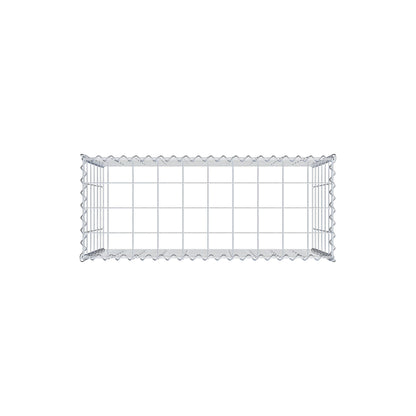 Grown-on gabion type 3 100 cm x 60 cm x 40 cm (L x H x D), mesh size 10 cm x 10 cm, spiral