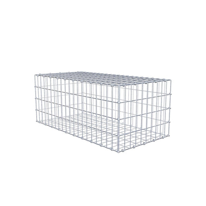 Gabion 100 cm x 40 cm x 50 cm (L x H x P), mailles 5 x 10 cm, anneau en spirale