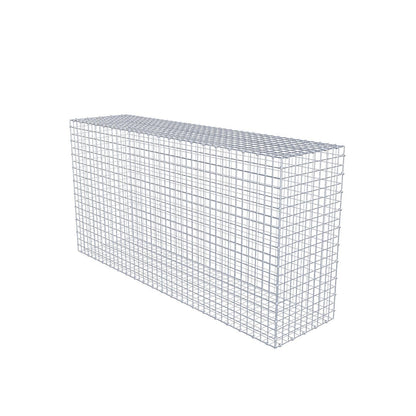 Gabbione 200 cm x 100 cm x 50 cm (L x H x P), maglia 5 x 5 cm, anello a spirale