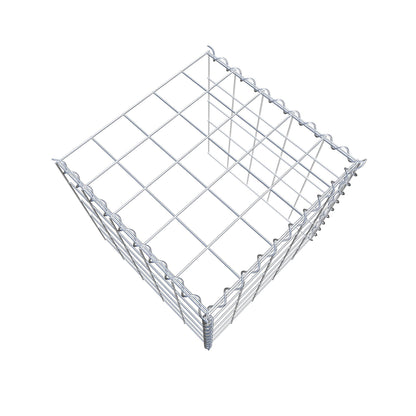 Grown-on gabion type 4 50 cm x 50 cm x 50 cm (L x H x D), mesh size 10 cm x 10 cm, spiral