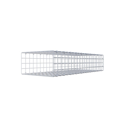 Type 2 oplegkorf 100 cm x 20 cm x 40 cm (L x H x D), maaswijdte 5 cm x 5 cm, C-ring