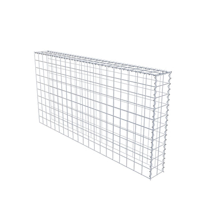 Grown-on gabion type 4 200 cm x 100 cm x 20 cm (L x H x D), mesh size 10 cm x 10 cm, spiral