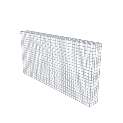 Gabbione 200 cm x 100 cm x 20 cm (L x H x P), maglia 5 cm x 5 cm, anello a C