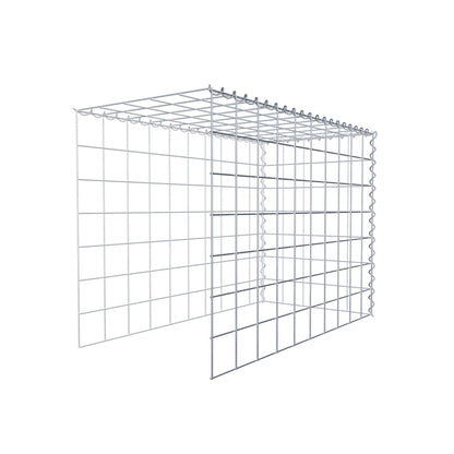Grown-on gabion type 4 100 cm x 70 cm x 50 cm (L x H x D), mesh size 10 cm x 10 cm, spiral